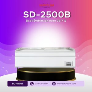 SD-2500B